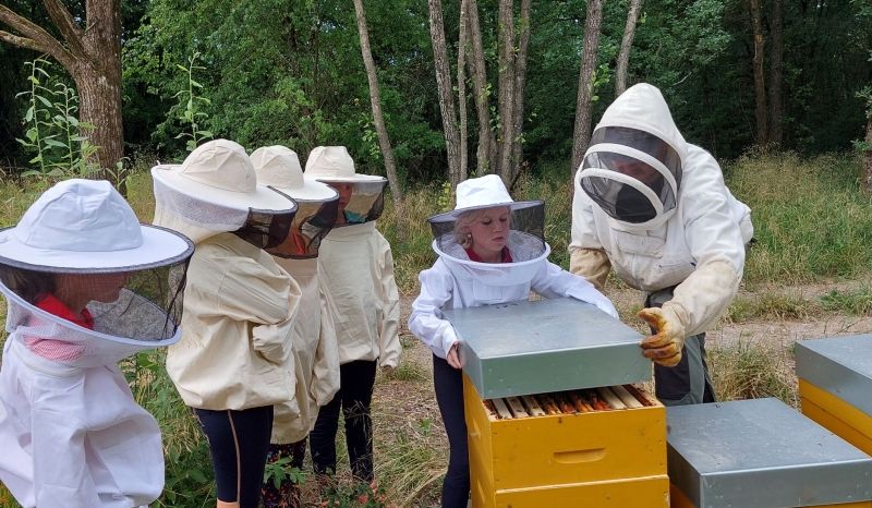 Animation apiculture avec les enfants en vacances