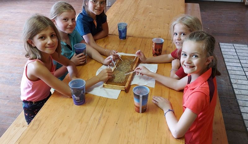 Animation apiculture avec les enfants en vacances