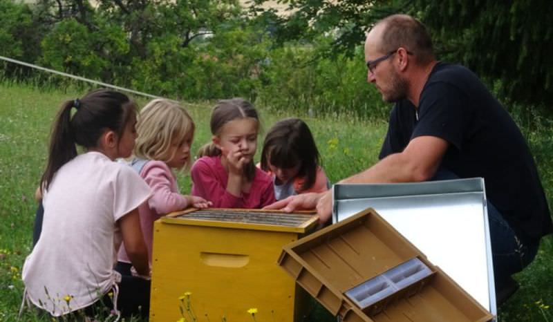 Atelier Apiculture